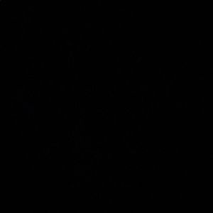 Meet your Posher, Shay